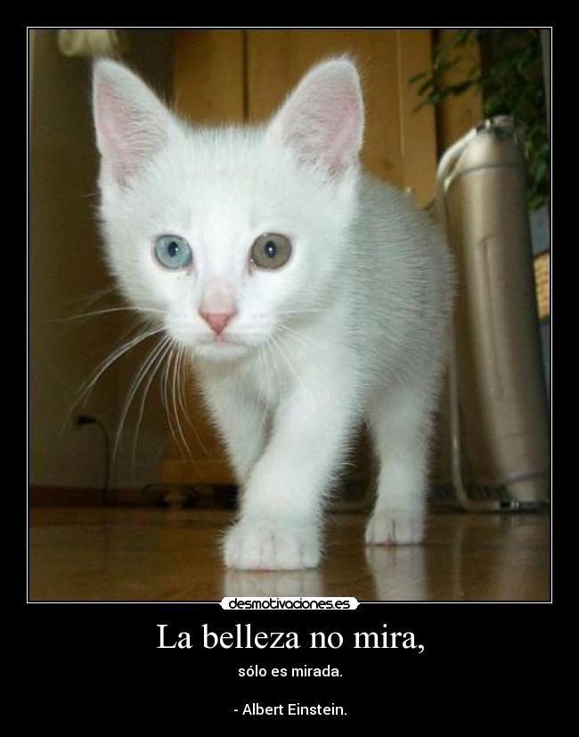 La belleza no mira, -