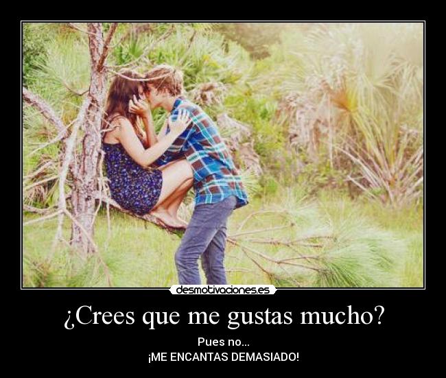 ¿Crees que me gustas mucho? - 