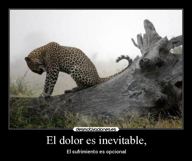El dolor es inevitable, -
