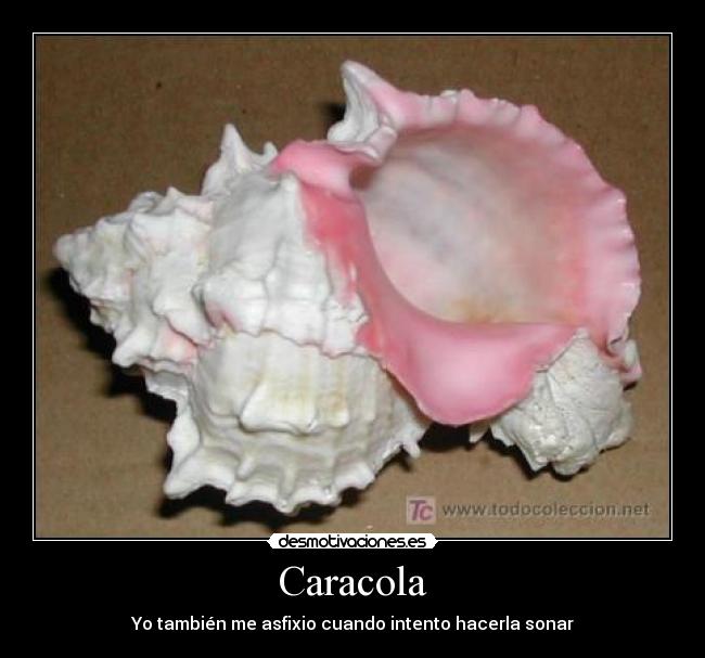Caracola - Yo también me asfixio cuando intento hacerla sonar
