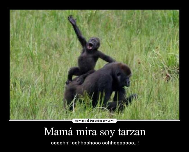 Mamá mira soy tarzan - oooohh!! oohhoohooo oohhooooooo...!