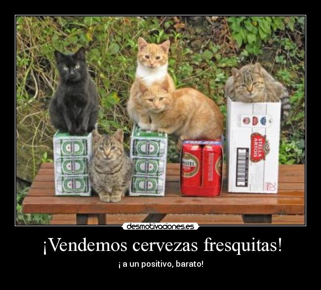 ¡Vendemos cervezas fresquitas! - ¡ a un positivo, barato!
