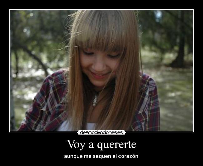 Voy a quererte -