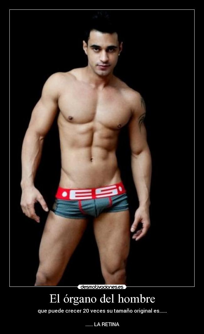 El órgano del hombre - que puede crecer 20 veces su tamaño original es......
...... LA RETINA