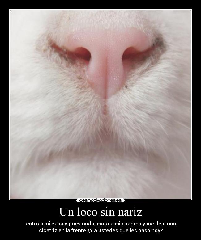 Un loco sin nariz -