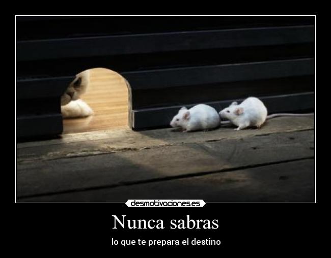 Nunca sabras - lo que te prepara el destino