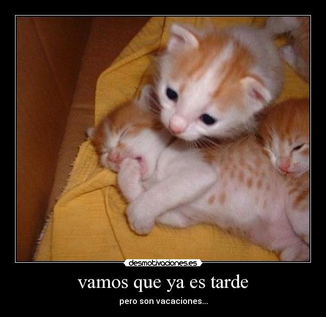 vamos que ya es tarde -