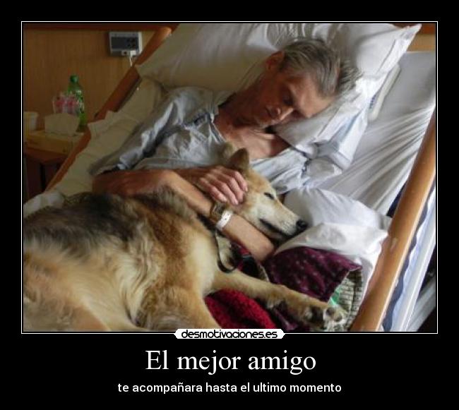 El mejor amigo - 
