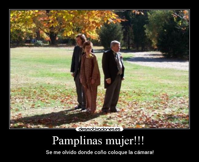 carteles mujer viejocamaradeje desmotivaciones