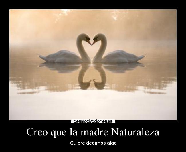Creo que la madre Naturaleza - Quiere decirnos algo