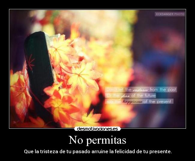 No permitas - 