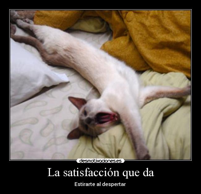 La satisfacción que da - 