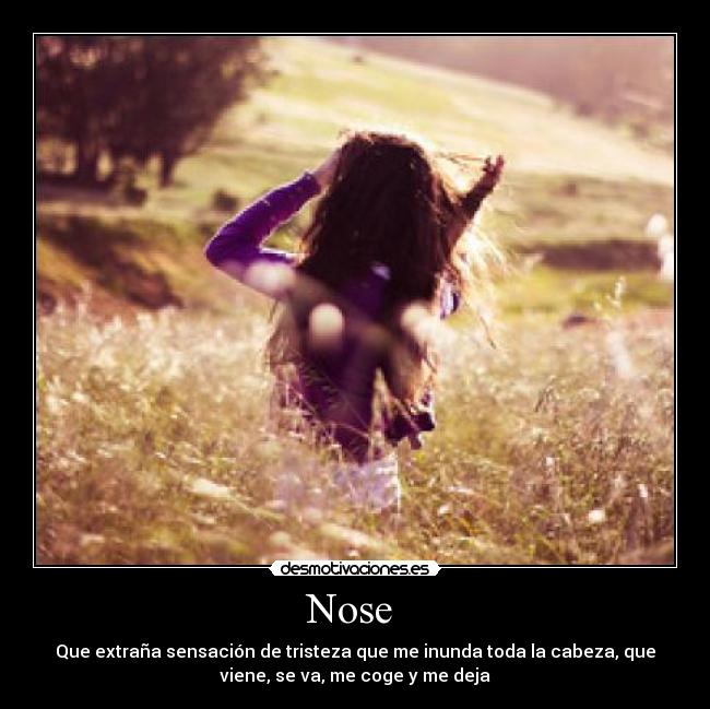 Nose  - 