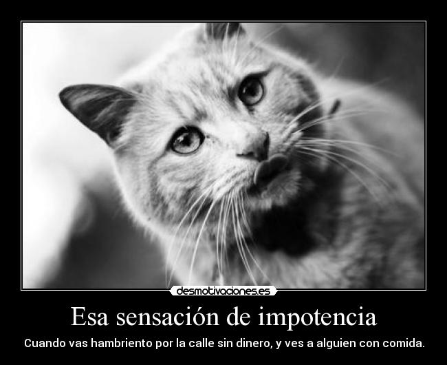 carteles fdssdf desmotivaciones