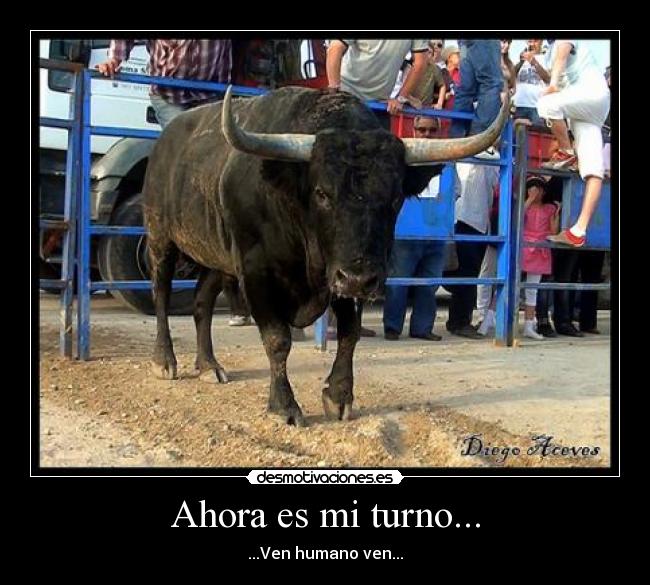 Ahora es mi turno... - 