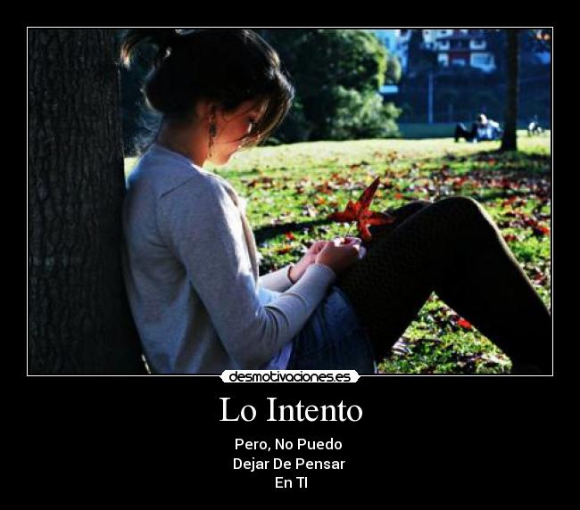 Lo Intento - 