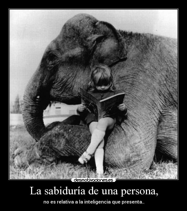 carteles sabiduria una persona desmotivaciones