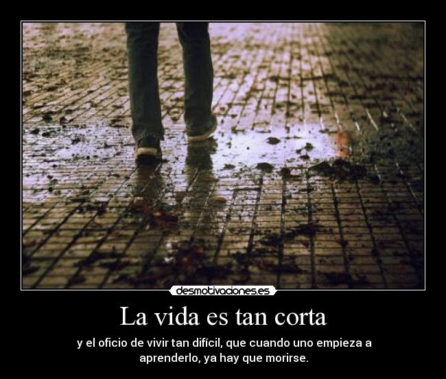 La vida es tan corta -