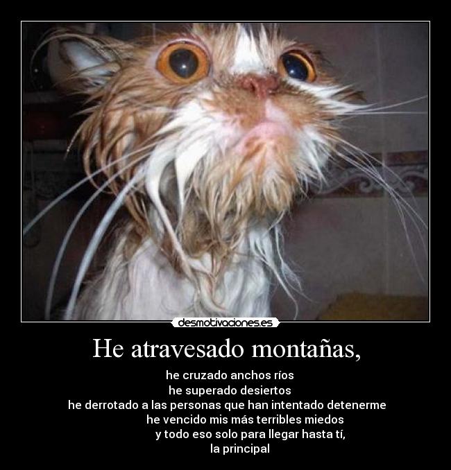 He atravesado montañas, -