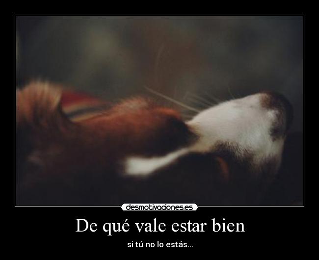 De qué vale estar bien - si tú no lo estás...