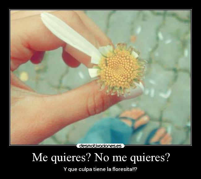 Me quieres? No me quieres? -
