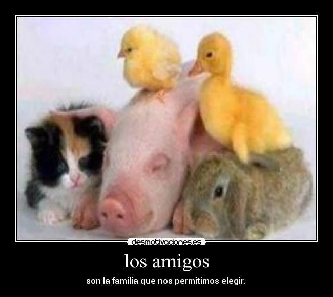 carteles amigos wwwdesmotivacioneses desmotivaciones