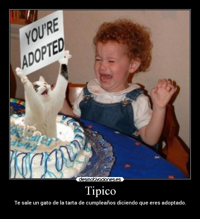 Tipico - Te sale un gato de la tarta de cumpleaños diciendo que eres adoptado.
