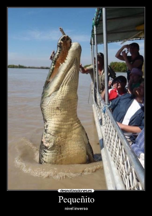 Pequeñito - nivel inverso