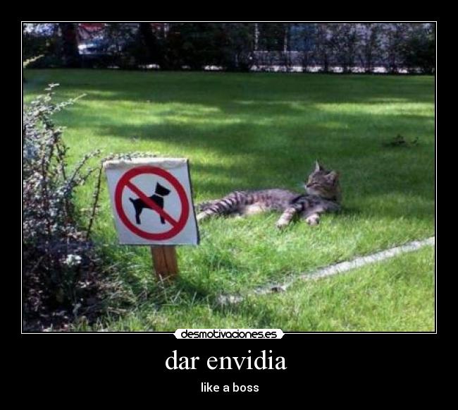 dar envidia  - 