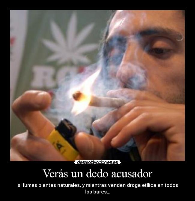 Verás un dedo acusador - si fumas plantas naturales, y mientras venden droga etílica en todos los bares...