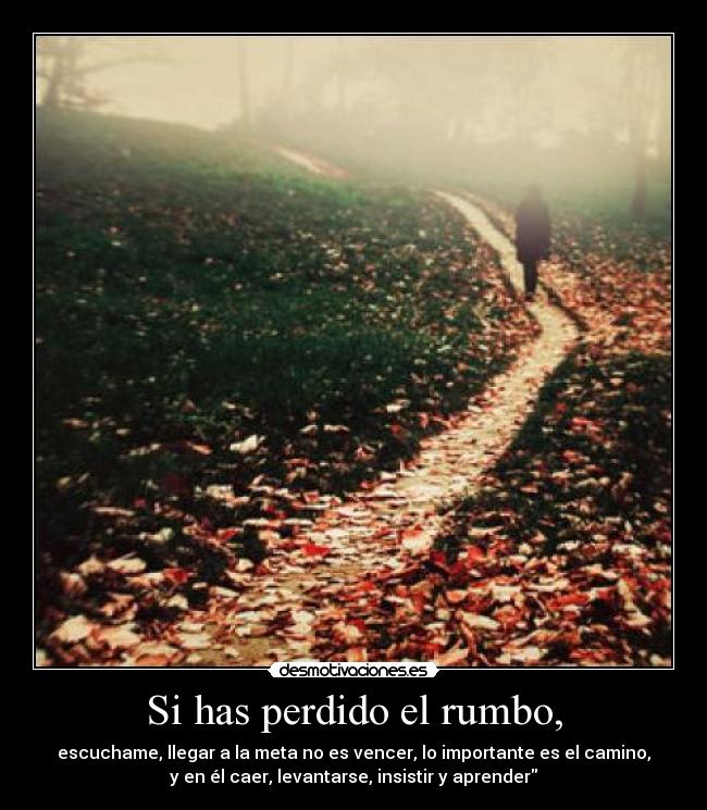 Si has perdido el rumbo, -