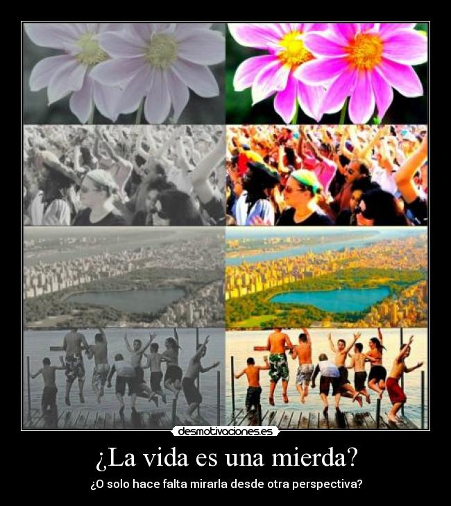 ¿La vida es una mierda? - ¿O solo hace falta mirarla desde otra perspectiva?