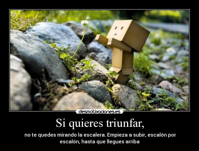 Si quieres triunfar, -