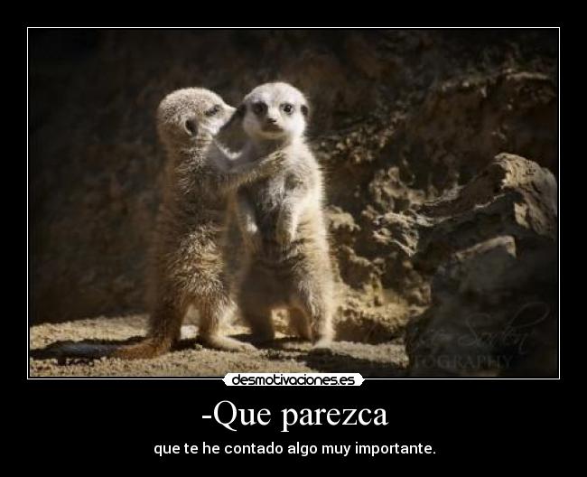 -Que parezca - que te he contado algo muy importante.
