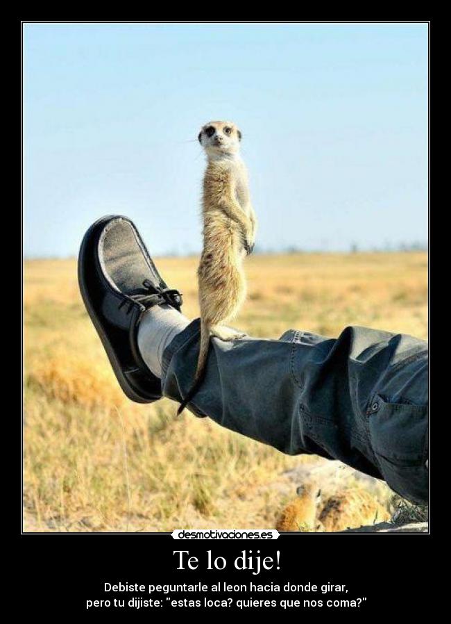 carteles timon desmotivaciones