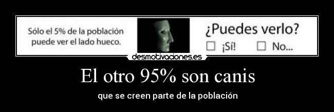 El otro 95% son canis - que se creen parte de la población