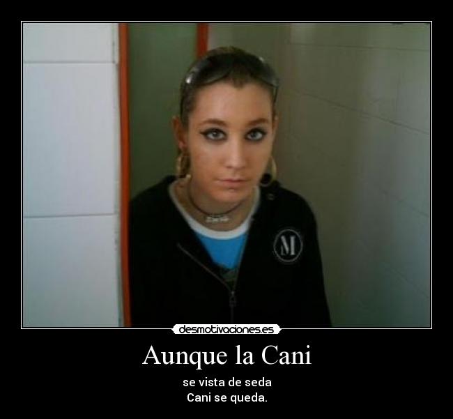 Aunque la Cani - se vista de seda
Cani se queda.
