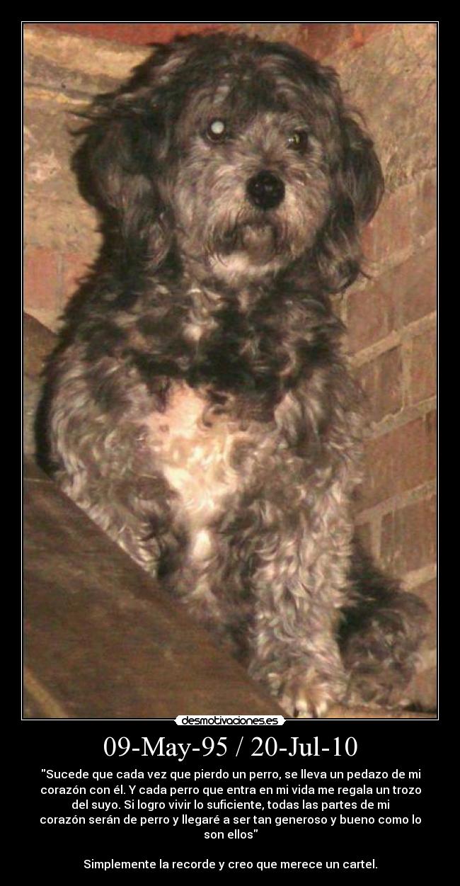 09-May-95 / 20-Jul-10 -