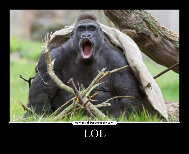 LOL - 