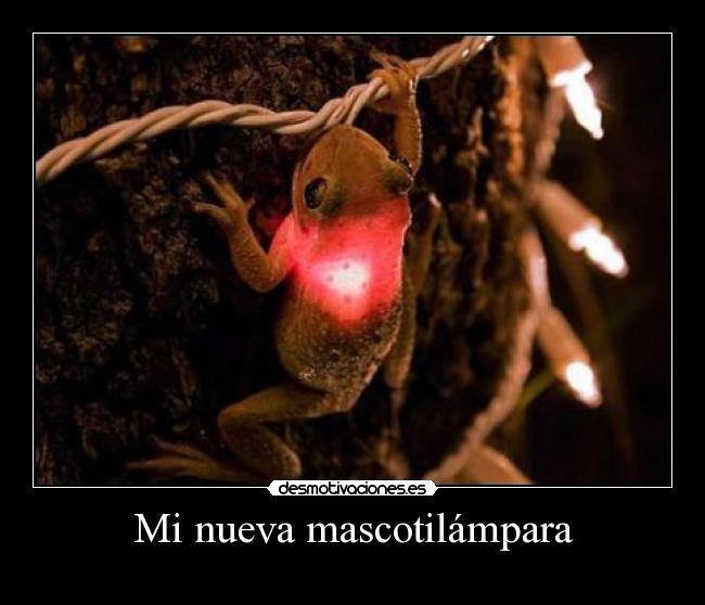 Mi nueva mascotilámpara -