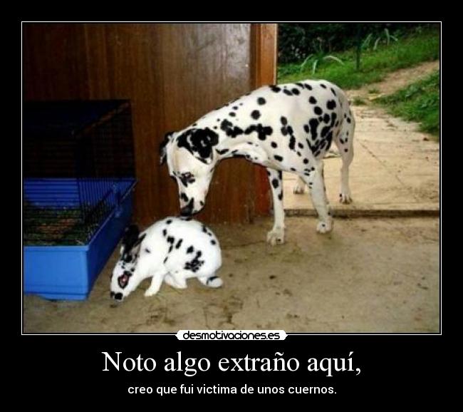 carteles cuernos desmotivaciones