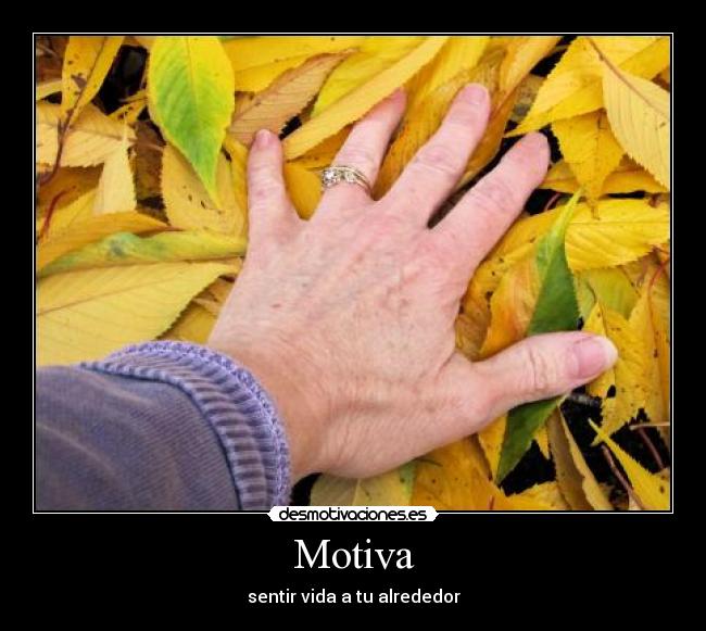  Motiva  - sentir vida a tu alrededor