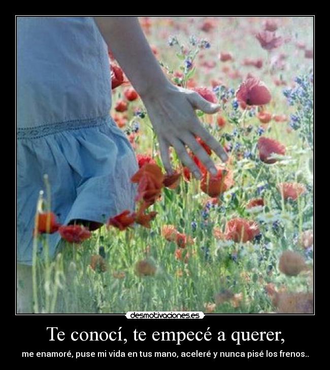 carteles amor triteza desmotivaciones