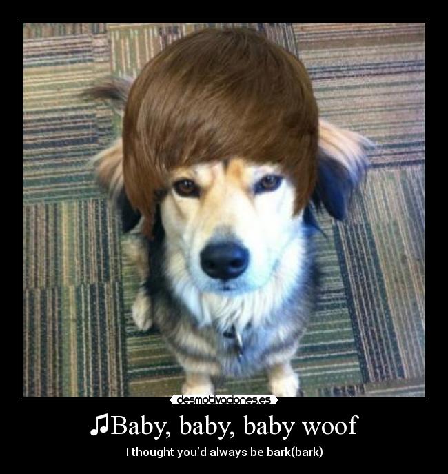 ♫Baby, baby, baby woof -