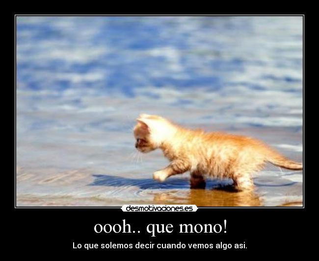 oooh.. que mono! - Lo que solemos decir cuando vemos algo asi.