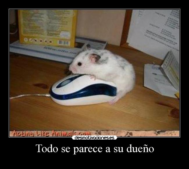 Todo se parece a su dueño - 