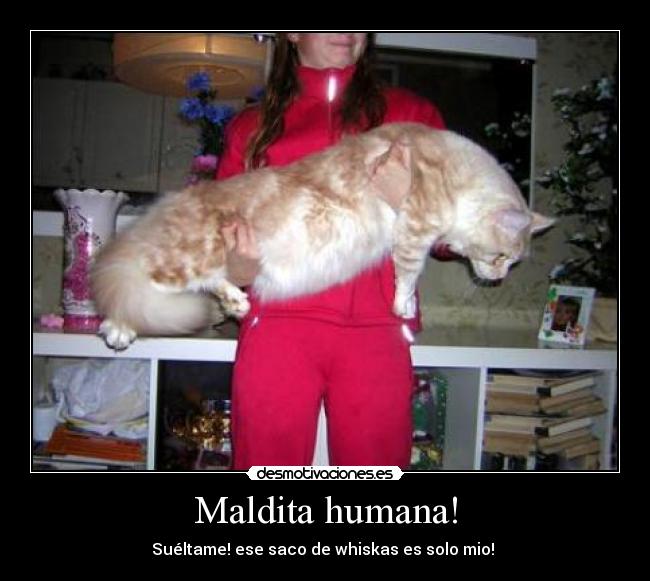 Maldita humana! -