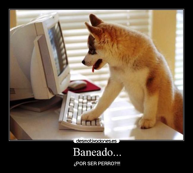 Baneado... -