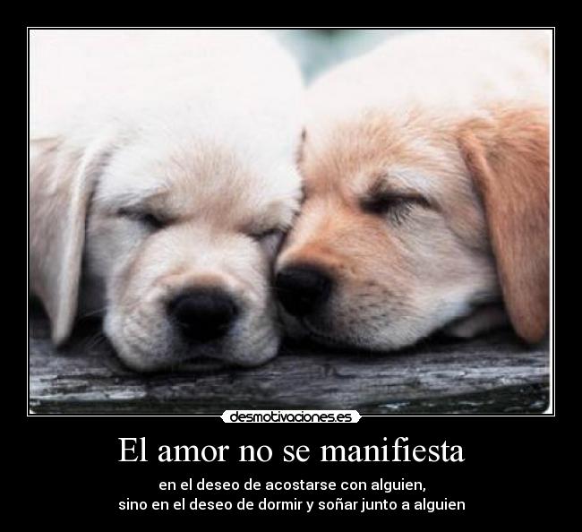 El amor no se manifiesta -