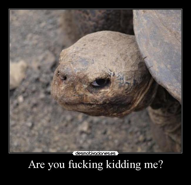 Are you fucking kidding me? -